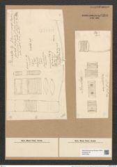 Striatella unipunctata (Lyngb.) Ag. (de-Toni-Nr.: Genus 97, Species 3077) Zeichnungen Sammlung Grunow Nr. 6306 (NHMW-BOT-W0374933)